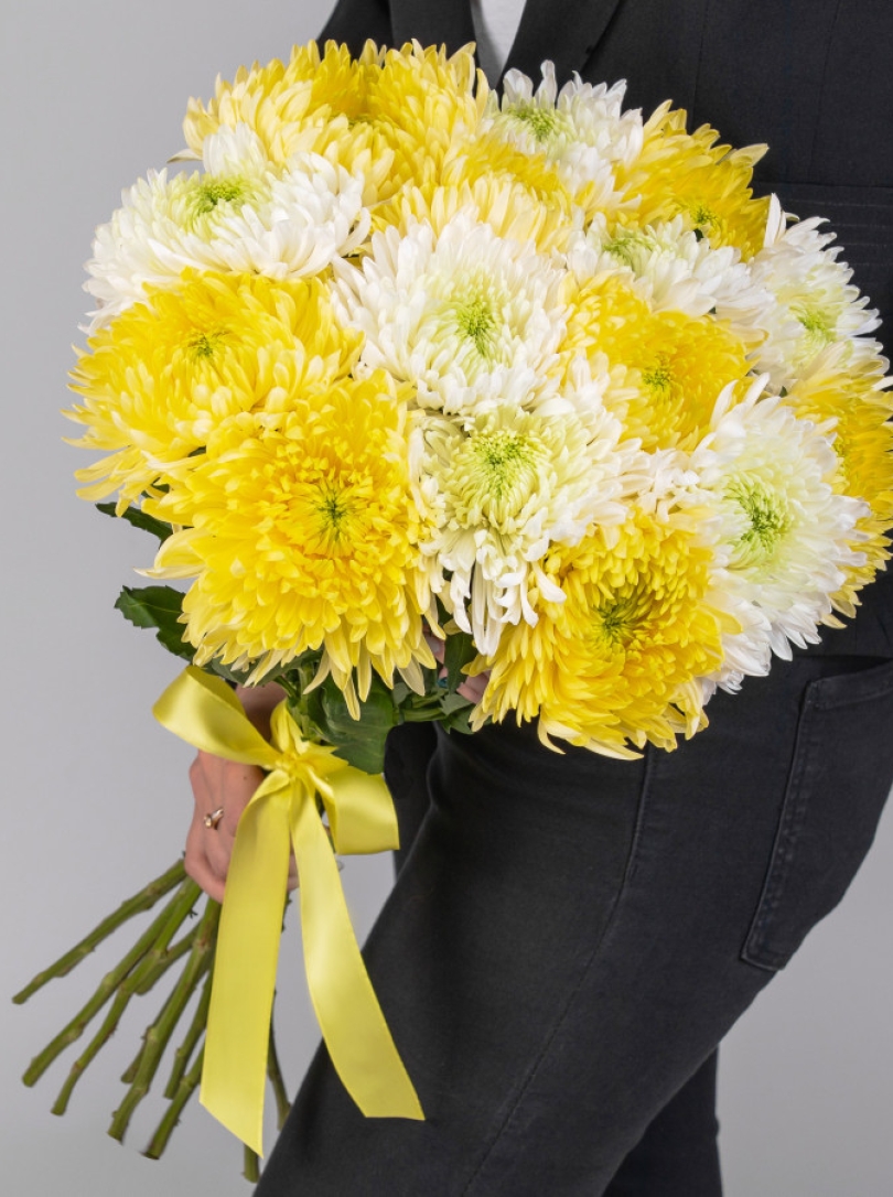 15 Crizanteme alb-galben