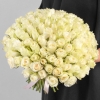101 Trandafiri albi 50 cm