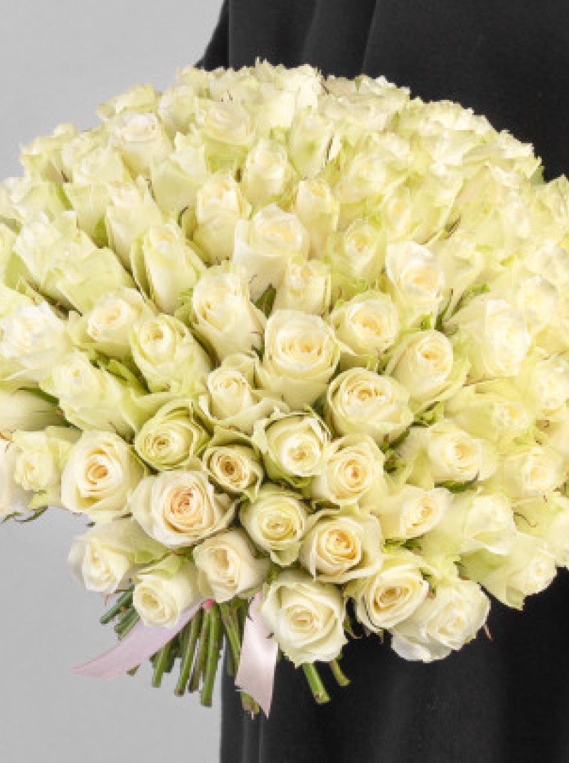 101 Trandafiri olandezi albi 50 cm